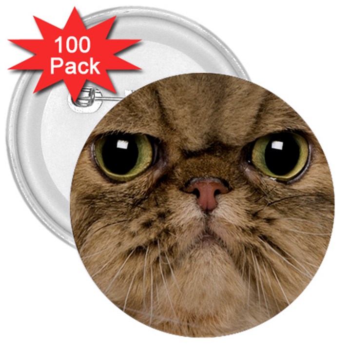 Cute Persian Catface In Closeup 3  Buttons (100 pack) 