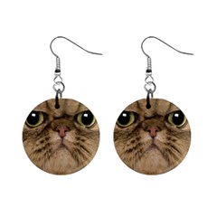 Cute Persian Catface In Closeup Mini Button Earrings by Amaryn4rt