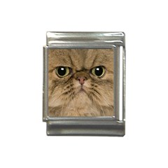 Cute Persian Catface In Closeup Italian Charm (13mm) by Amaryn4rt