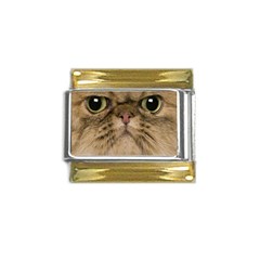 Cute Persian Catface In Closeup Gold Trim Italian Charm (9mm) by Amaryn4rt