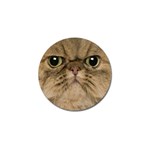 Cute Persian Catface In Closeup Golf Ball Marker Front