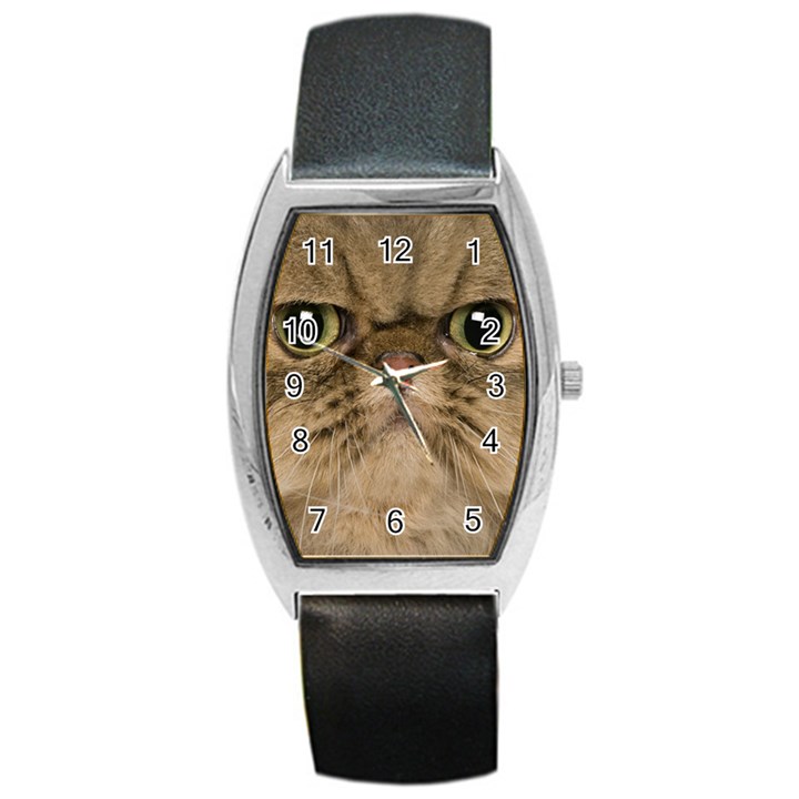 Cute Persian Catface In Closeup Barrel Style Metal Watch