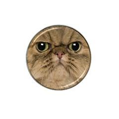 Cute Persian Catface In Closeup Hat Clip Ball Marker (4 Pack) by Amaryn4rt