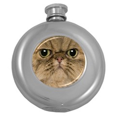 Cute Persian Catface In Closeup Round Hip Flask (5 Oz) by Amaryn4rt