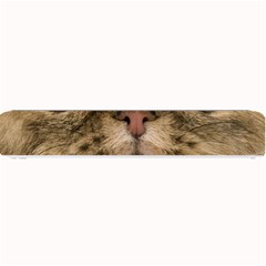 Cute Persian Catface In Closeup Small Bar Mat by Amaryn4rt