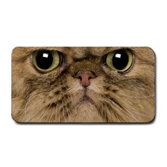 Cute Persian Catface In Closeup Medium Bar Mat