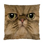 Cute Persian Catface In Closeup Standard Cushion Case (One Side) Front