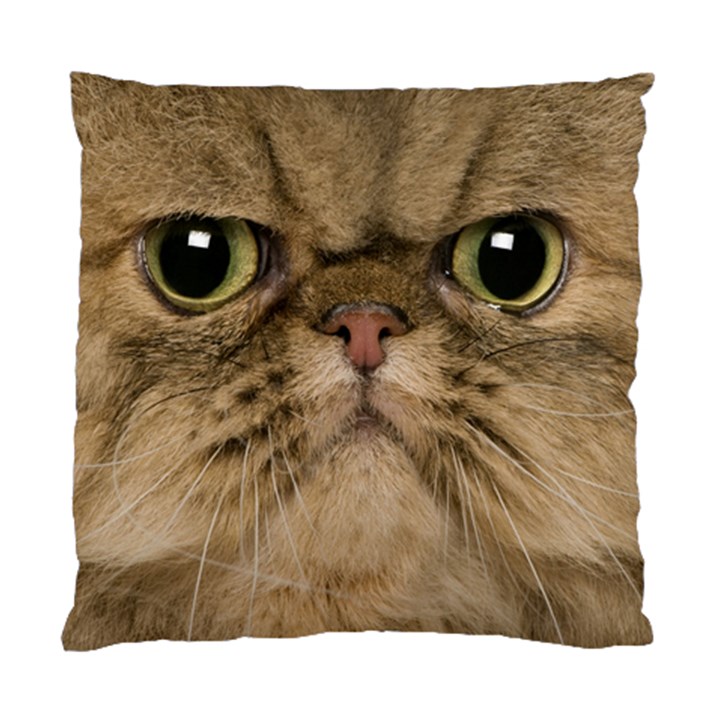 Cute Persian Catface In Closeup Standard Cushion Case (One Side)