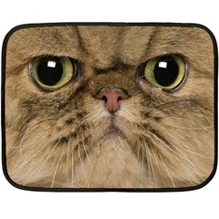 Cute Persian Catface In Closeup Two Sides Fleece Blanket (mini) by Amaryn4rt