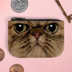 Cute Persian Catface In Closeup Mini Coin Purse by Amaryn4rt