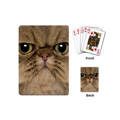 Cute Persian Catface In Closeup Playing Cards Single Design (mini) by Amaryn4rt