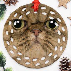 Cute Persian Catface In Closeup Ornament (round Filigree) by Amaryn4rt