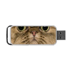 Cute Persian Catface In Closeup Portable Usb Flash (one Side) by Amaryn4rt