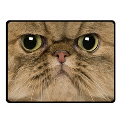 Cute Persian Catface In Closeup Two Sides Fleece Blanket (small) by Amaryn4rt