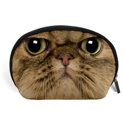 Cute Persian Catface In Closeup Accessory Pouch (large) by Amaryn4rt