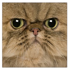 Cute Persian Catface In Closeup Square Satin Scarf (36  X 36 ) by Amaryn4rt