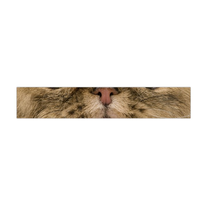 Cute Persian Catface In Closeup Premium Plush Fleece Scarf (Mini)