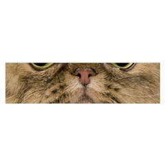 Cute Persian Catface In Closeup Oblong Satin Scarf (16  X 60 ) by Amaryn4rt