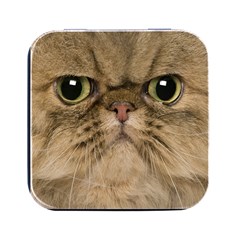 Cute Persian Catface In Closeup Square Metal Box (black) by Amaryn4rt