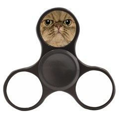 Cute Persian Catface In Closeup Finger Spinner by Amaryn4rt