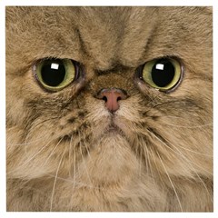 Cute Persian Catface In Closeup Wooden Puzzle Square by Amaryn4rt