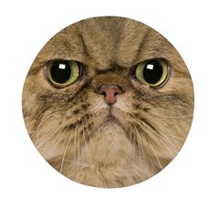 Cute Persian Catface In Closeup Mini Round Pill Box (pack Of 5) by Amaryn4rt