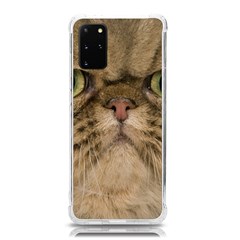 Cute Persian Catface In Closeup Samsung Galaxy S20plus 6 7 Inch Tpu Uv Case by Amaryn4rt