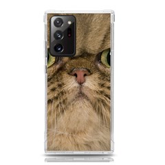 Cute Persian Catface In Closeup Samsung Galaxy Note 20 Ultra Tpu Uv Case by Amaryn4rt