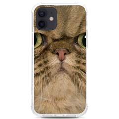 Cute Persian Catface In Closeup Iphone 12/12 Pro Tpu Uv Print Case by Amaryn4rt