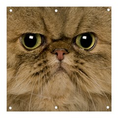 Cute Persian Catface In Closeup Banner And Sign 3  X 3  by Amaryn4rt