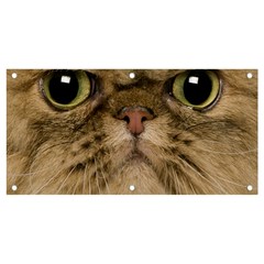 Cute Persian Catface In Closeup Banner And Sign 4  X 2  by Amaryn4rt