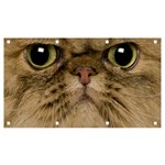 Cute Persian Catface In Closeup Banner and Sign 7  x 4  Front