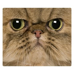 Cute Persian Catface In Closeup Premium Plush Fleece Blanket (small) by Amaryn4rt