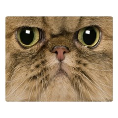 Cute Persian Catface In Closeup Premium Plush Fleece Blanket (large) by Amaryn4rt