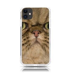 Cute Persian Catface In Closeup Iphone 11 Tpu Uv Print Case by Amaryn4rt