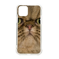 Cute Persian Catface In Closeup Iphone 11 Pro 5 8 Inch Tpu Uv Print Case by Amaryn4rt