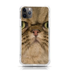 Cute Persian Catface In Closeup Iphone 11 Pro Max 6 5 Inch Tpu Uv Print Case by Amaryn4rt