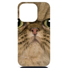 Cute Persian Catface In Closeup Iphone 14 Pro Black Uv Print Case by Amaryn4rt