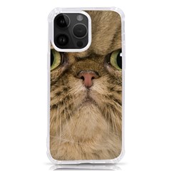 Cute Persian Catface In Closeup Iphone 14 Pro Max Tpu Uv Print Case by Amaryn4rt