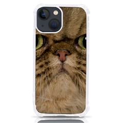 Cute Persian Catface In Closeup Iphone 13 Mini Tpu Uv Print Case by Amaryn4rt