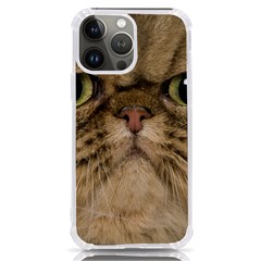 Cute Persian Catface In Closeup Iphone 13 Pro Max Tpu Uv Print Case by Amaryn4rt