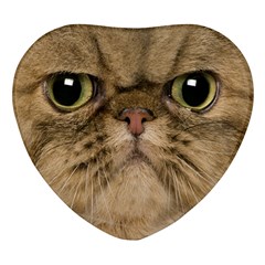 Cute Persian Catface In Closeup Heart Glass Fridge Magnet (4 Pack) by Amaryn4rt