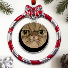 Cute Persian Catface In Closeup Metal Red Ribbon Round Ornament by Amaryn4rt