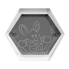 Easter-bunny-hare-rabbit-animal Hexagon Wood Jewelry Box