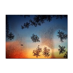 Hardest-frost-winter-cold-frozen Sticker A4 (100 Pack) by Amaryn4rt