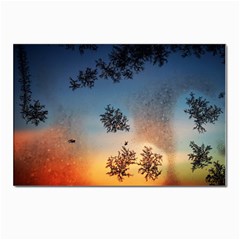 Hardest-frost-winter-cold-frozen Postcard 4 x 6  (pkg Of 10) by Amaryn4rt