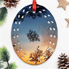 Hardest-frost-winter-cold-frozen Ornament (oval Filigree)