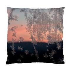 Hardest-frost-winter-cold-frozen Standard Cushion Case (one Side) by Amaryn4rt