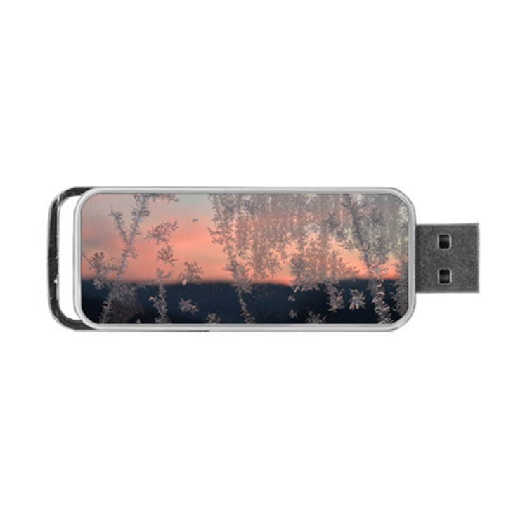 Hardest-frost-winter-cold-frozen Portable USB Flash (Two Sides)