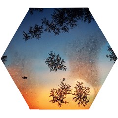 Hardest-frost-winter-cold-frozen Wooden Puzzle Hexagon by Amaryn4rt